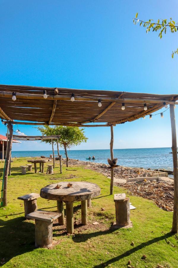 Dahlandia Ilha de Múcura Exterior foto