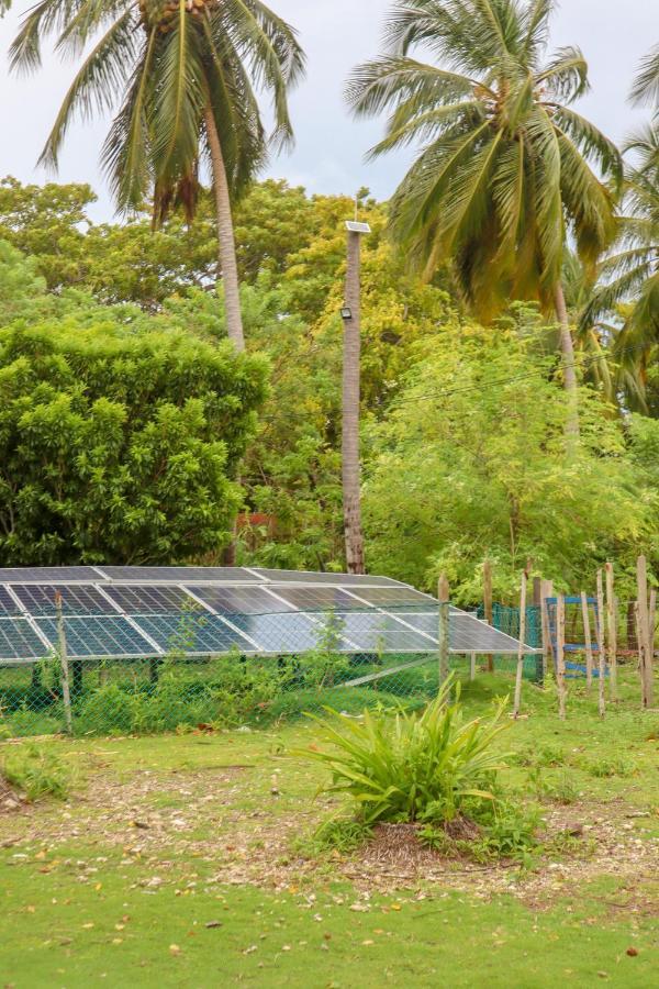 Dahlandia Ilha de Múcura Exterior foto