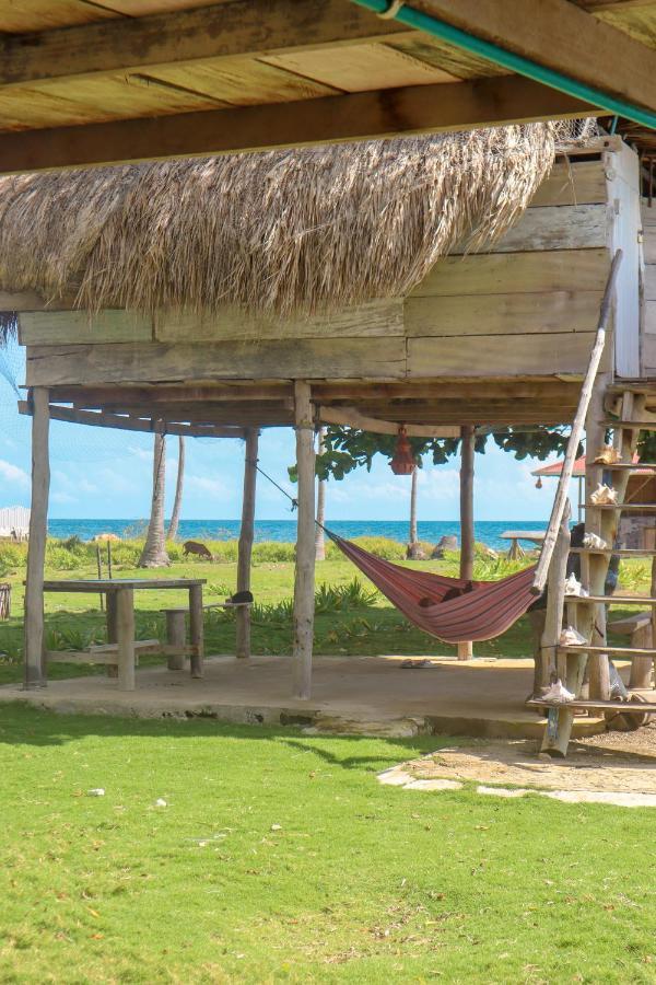 Dahlandia Ilha de Múcura Exterior foto