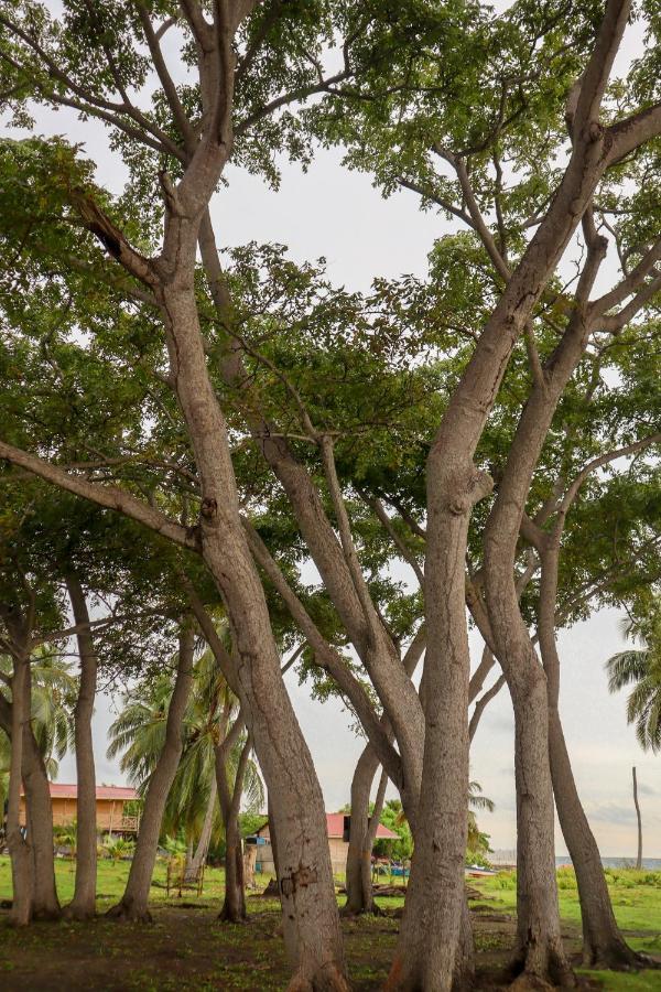 Dahlandia Ilha de Múcura Exterior foto