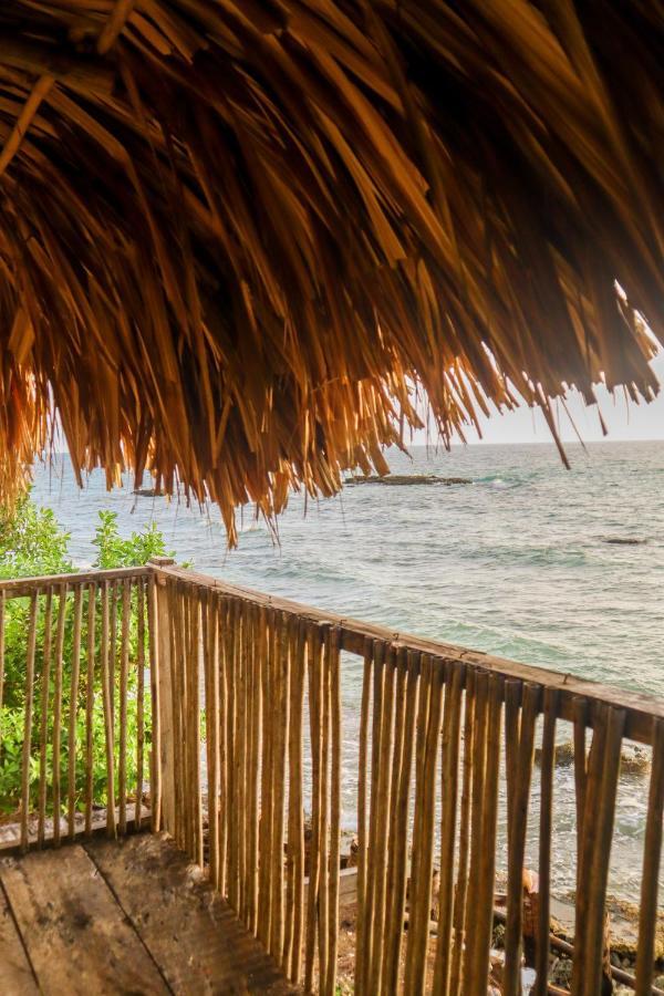 Dahlandia Ilha de Múcura Exterior foto