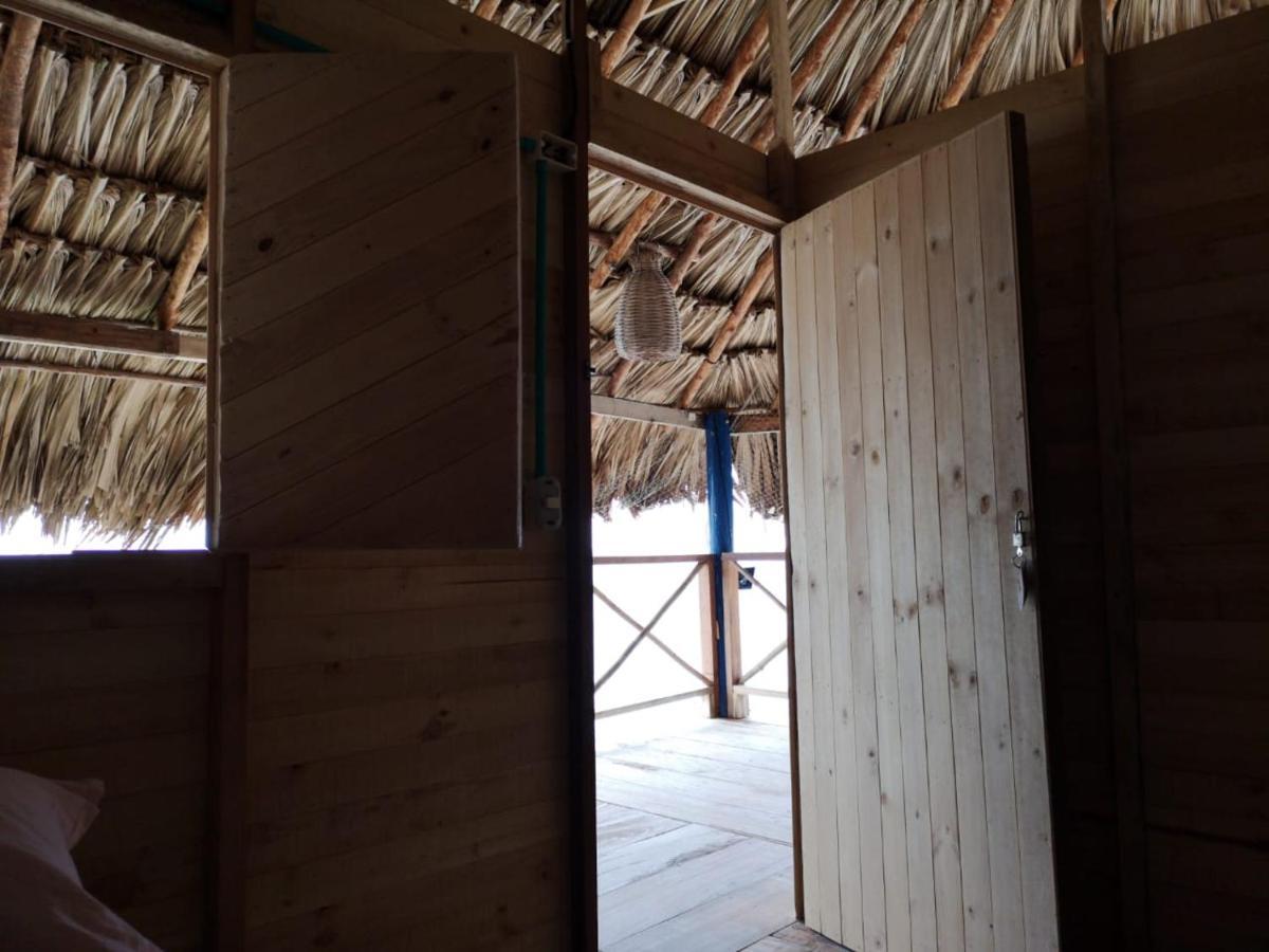 Dahlandia Ilha de Múcura Exterior foto